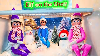 Elf on the Shelf North Pole Freezer Day 13 [upl. by Hoy]