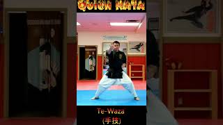 Kata Tutorial TeWaza karate karatekata tewaza [upl. by Peggie398]