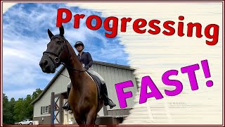 How to Properly Introduce My Horse to First Level Dressage [upl. by Luby]