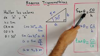 Ejercicio de Razones Trigonométricas  Trigonometría [upl. by Winther249]