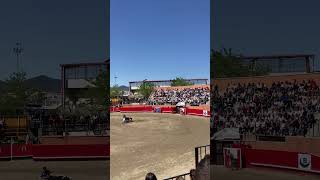 Increible reverso de Lucas Fernandez en la Pascua Taurina de Onda toros fiesta bull toro viral [upl. by Sirej]