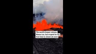 Mauna Loa worlds largest active volcano erupts for the first time in 40 years [upl. by Katie]