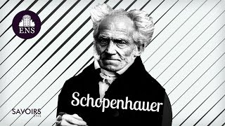 Scepticisme et pessimisme  le cas Schopenhauer [upl. by Cilurzo]