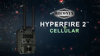 HyperFire 2 Cellular Camera [upl. by Winchester]