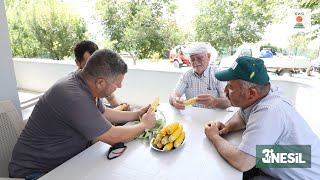 Mısır üretiminde nesillerdir değişmeyen adres KWS [upl. by Yanarp]