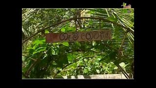 Department Of Agriculture Sri lanka Krushi tv channelගැමි ගෙවත්ත [upl. by Warenne]