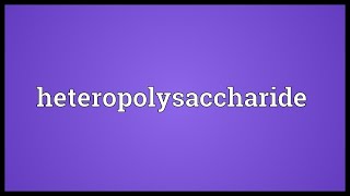 Heteropolysaccharides GAGs Mucopolysaccharides [upl. by Spearman]