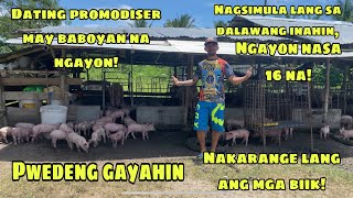 PWEDENG GAYAHIN  MGA BIIK NAKARANGE LANG  DATING PROMODISER MAY BABOYAN NA NGAYON AT ANG DAMI [upl. by Zenitram]