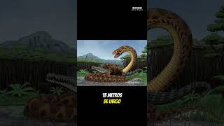 La serpiente más grande del mundo Titanoboa el monstruo de Latinoamérica animalesfantasticos [upl. by Patterman]