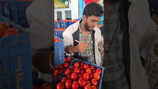 Palamaner Auction livePalamanerTomatoMarketToday Tomato Rate In Palamaner ckgowthamvlogs [upl. by Jeunesse373]