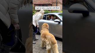 It started so well😳goldenretriever 🧼Freshness without fuss ​⁠earthrated earthratedpartner [upl. by Musser]