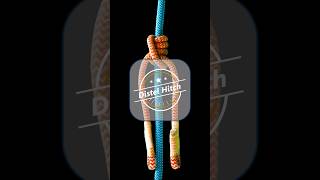 learn the Distel friction hitch underrated frictionhitch for treeclimbing [upl. by Roxine901]