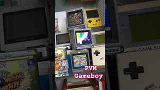 Sony pvm Gameboy cartridge holder sony pvm gameboy [upl. by Zannini348]