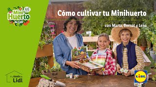 Cómo cultivar tu Minihuerto en casa 🏡 🍅 🥕 Jardín de Lidl  Lidl España [upl. by Ardnuas]