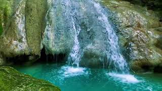 Relaxing birds amp water sounds nature river sounds for sleep meditation relaxation flowing water [upl. by Juli20]