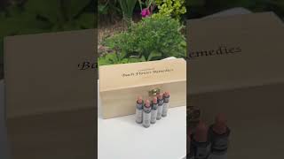 Bach Flower Remedy Set from Crystal Herbs [upl. by Leatrice]