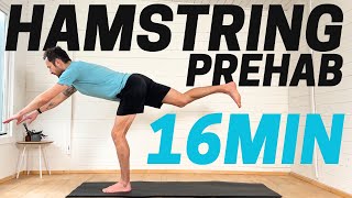 Hamstring Strengthening Exercises Routine [upl. by Lleneg]