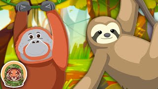 Learn About Endangered Animals  Animal Songs For Kids  KLT WILD [upl. by Yonit]