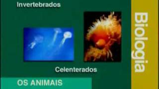 Biologia  Sistemática e Taxonomia Parte 1  2 [upl. by Cyn18]