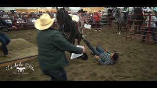 Se cae del caballo bailando en la competencia de caballos bailadores [upl. by Anelrihs]