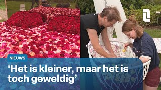 Miljoenen rozen gekweekt voor 102e editie Rozenfestival in Lottum 🌹  L1Nieuws [upl. by Hoeg916]