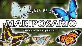 ARMA TU MARIPOSARIO EN TU HUERTA O JARDÍN [upl. by Ignacia]