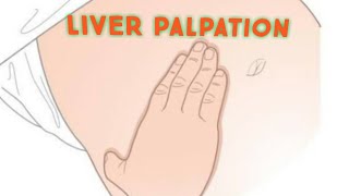 Liver palpation  physical Examination  Techniques For clinical practice ☝️ [upl. by Lemej]