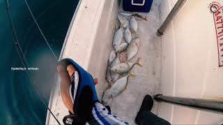 One Drop Many Catches  ഒറ്റ ഡ്രോപ്പിൽ ഇത്രയധികം മീനോ  Deep sea fishing  Qatar fishing [upl. by Ahdar43]