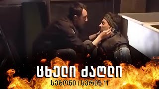 ცხელი ძაღლი  სეზონი 1 სერია 11 [upl. by Akeimahs]