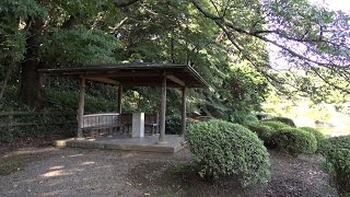 【聖地巡礼】言の葉の庭の舞台、新宿御苑を訪れてみた The Garden of WordsShinjuku [upl. by Terrance]