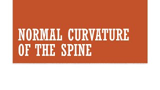 Normal Curvature of the Spine [upl. by Randolph]