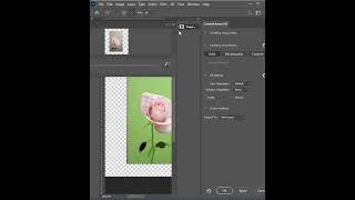 How to Resize an Image in Photoshop  Short Photoshop Tutorial [upl. by Helbonia]