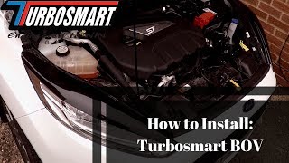 How to install  Turbosmart Dual Port BOV  Fiesta ST180 [upl. by Charla]