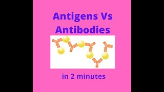 Antigens vs Antibodies in under 2 mins [upl. by Tatiana]