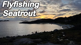 Sjøørret  Seatrout Flyfishing In Autumn [upl. by Esinert]