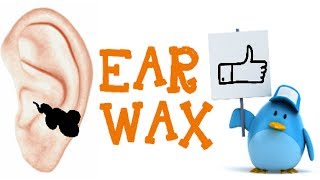 Ear Wax  Do we need it  Does it have benefits [upl. by Venu]