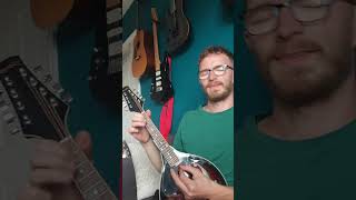 Toss the Feathers on the Mandolin Corrs Version [upl. by Zilla]