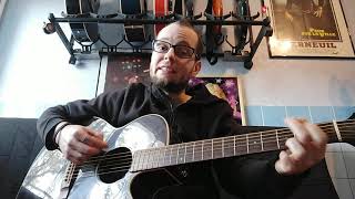 Stewball  Hugues Aufray  cover guitarevoix [upl. by Ettenom653]