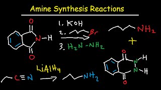 Amine Synthesis Reactions Organic Chemistry  Summary amp Practice Problems [upl. by Uria]