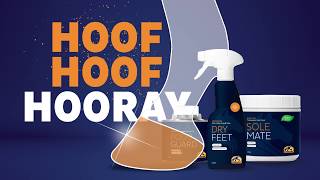 Hoof care  How to take care of the hooves of your horse [upl. by Mannos]