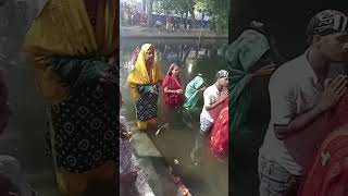 Ugte huai suraj dev ki puja Happy chhath puja 2024 [upl. by Jammin]