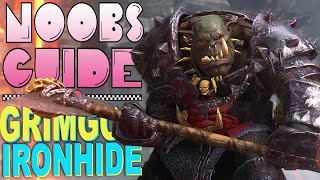 NOOBS GUIDE TO GRIMGOR IRONHIDE [upl. by Trebeh]