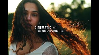 CINE LUT FOR SONY A7III  A7RIII  A6500  sony a6300 free lut [upl. by Sorips]