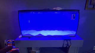 Hygger 24V DC wavemaker fluval sea flex 325 [upl. by Ragouzis]