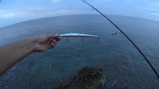 How to catch a barracuda in the Adriatic CampR 25082018 [upl. by Franny]