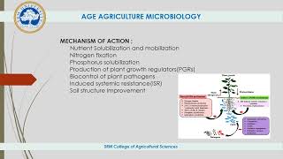 Plant Growth Promoting Microbes in Rhizosphere [upl. by Ami]