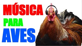 Pon esta MÚSICA a tus GALLINAS PATOS PAVOS LOROS y sé RELAJARÁN  Música Relajante para AVES [upl. by Adora]