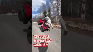 12 Second Honda 300 Wheelie Honda Offroad Wheelie Alaska 4x4 honda300 [upl. by Arie]