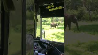 Thandava holidays kollam contact number 9048562361 karnataka forest travel [upl. by Herschel]