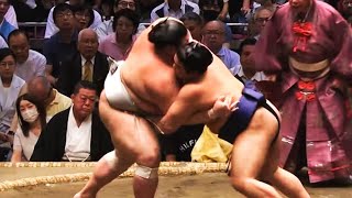 Aki Basho 2024 Day 11 Atamifuji vs Hiradoumi [upl. by Ydnak]